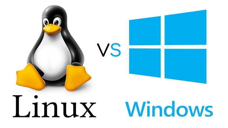 Windows Hosting ile Linux Hosting Arasındaki Farklar Nedir?