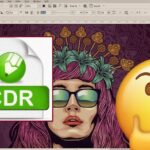 CDR Dosyası Nedir ve Nasıl Açılır?
