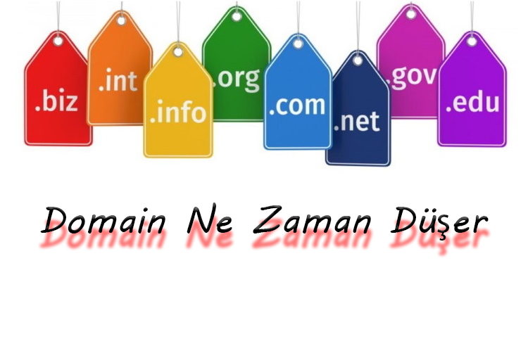 Süresi Biten Domain Ne Zaman Düşer?