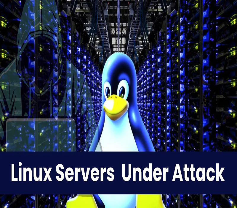 Linux Saldiri ve Güvenlik Hakkinda Tavsiyeler