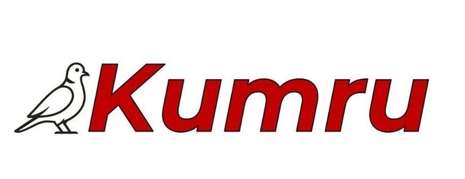 Yerli Yapay Zeka Kumru Türkiye’nin Dijital Bağımsızlık Adımı